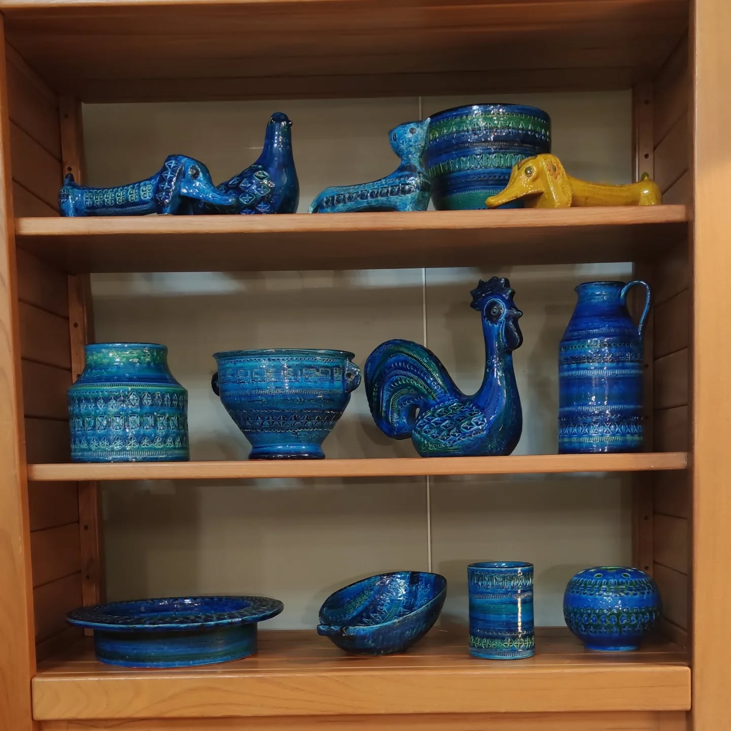 Collection 